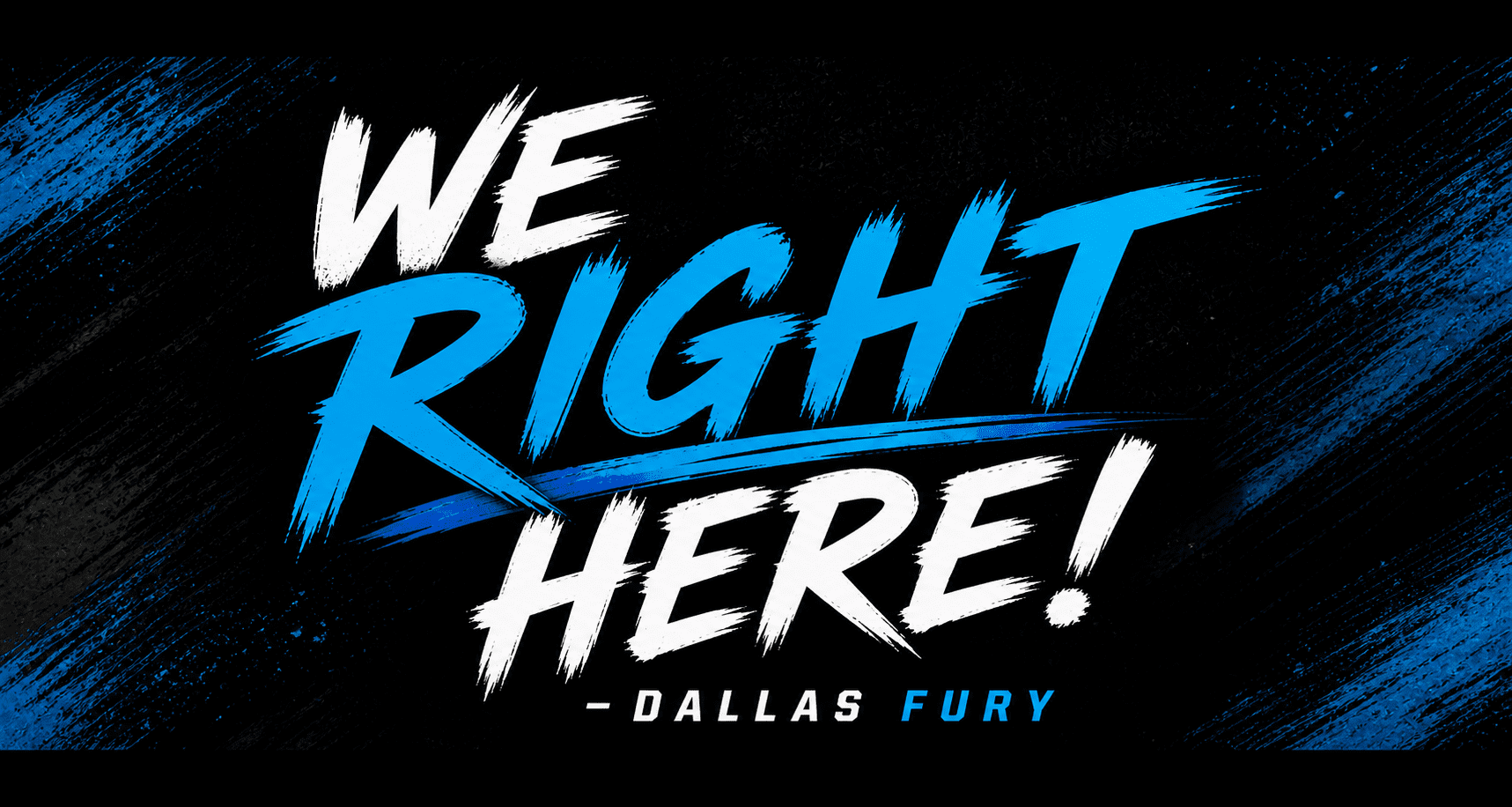 dallas fury banner